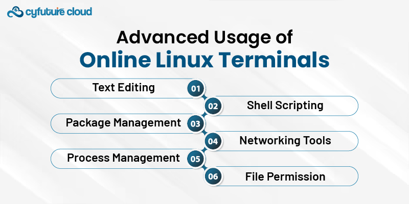 Advanced Usage of Online Linux Terminals